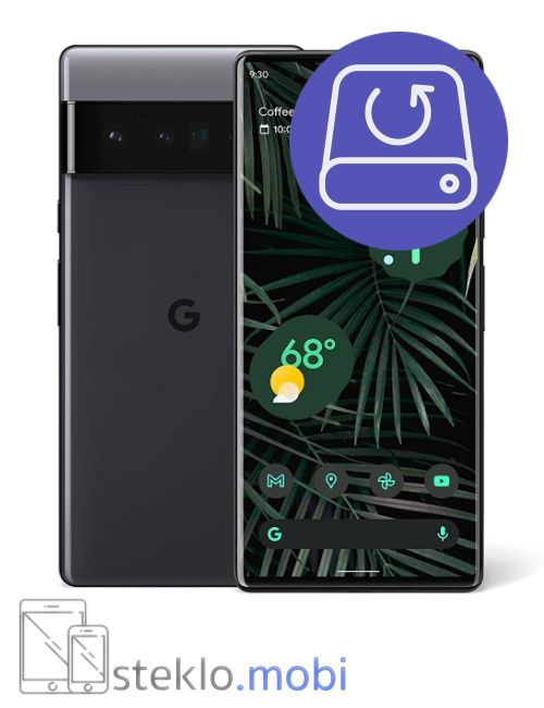 Google Pixel 6 Pro 